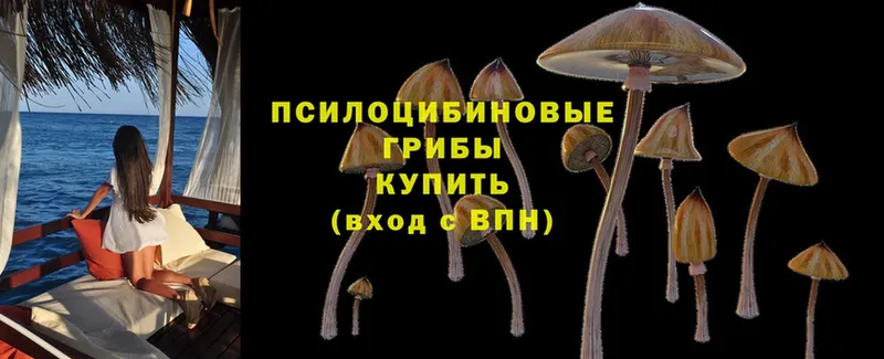 Галлюциногенные грибы Cubensis  закладка  ссылка на мегу рабочий сайт  Остров 